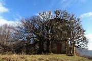 CASTEL REGINA e PIZZO CERRO ad anello da Catremerio (14 dic. 17)